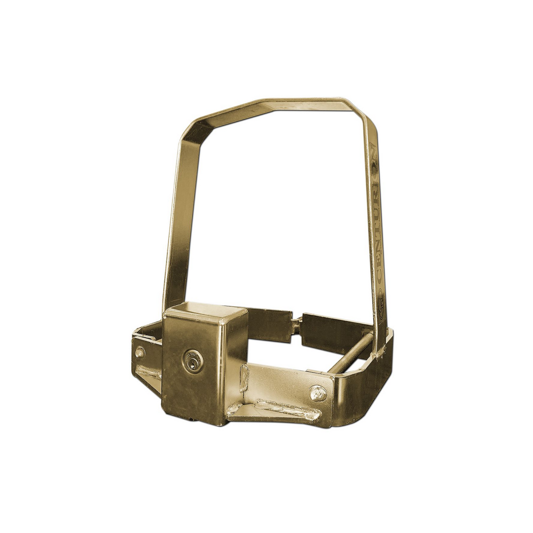 CENTURION Theft-resistant Cage - D5 Smart Theft Kit Assembly